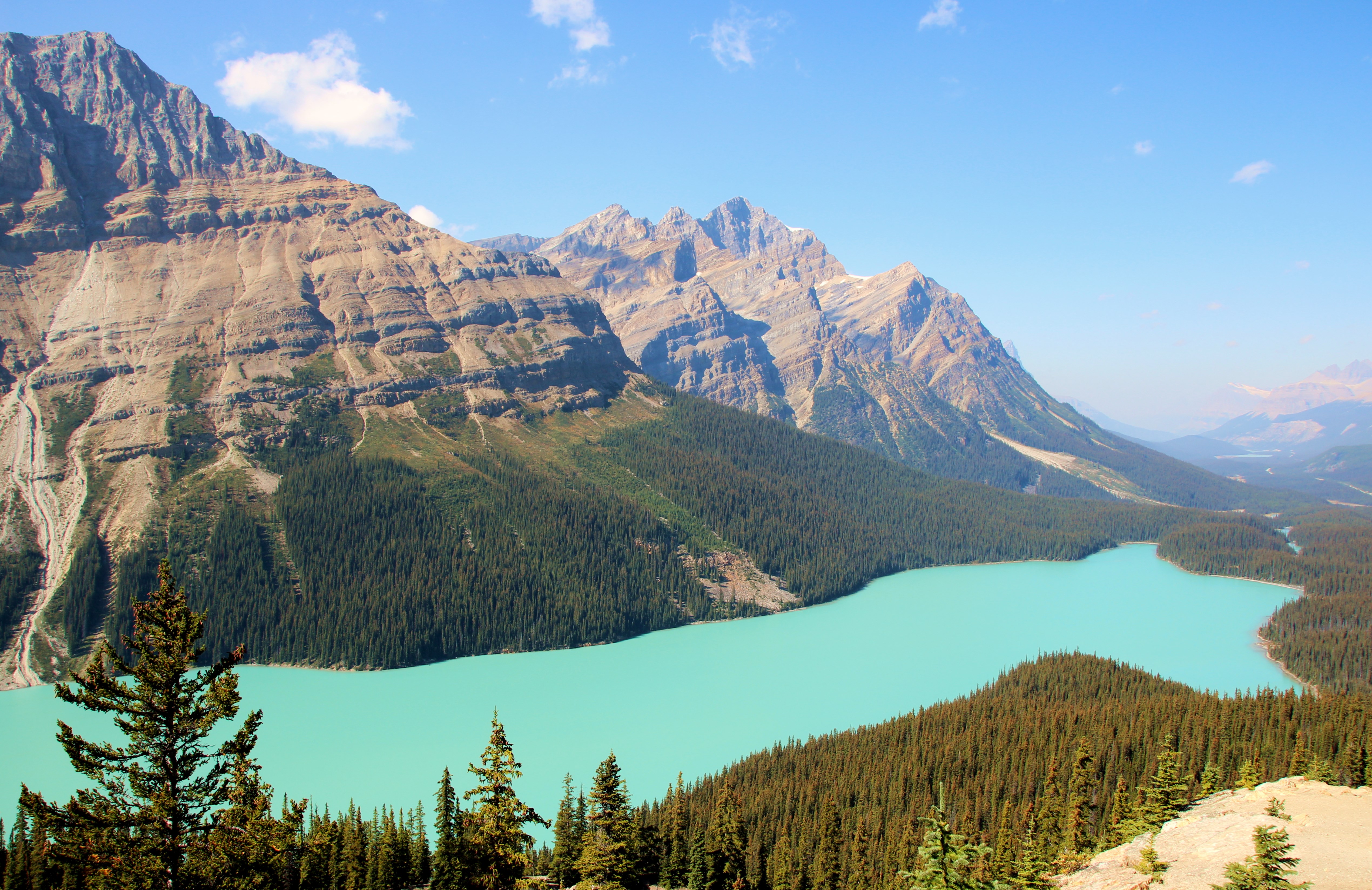 Banff Peyto Lake