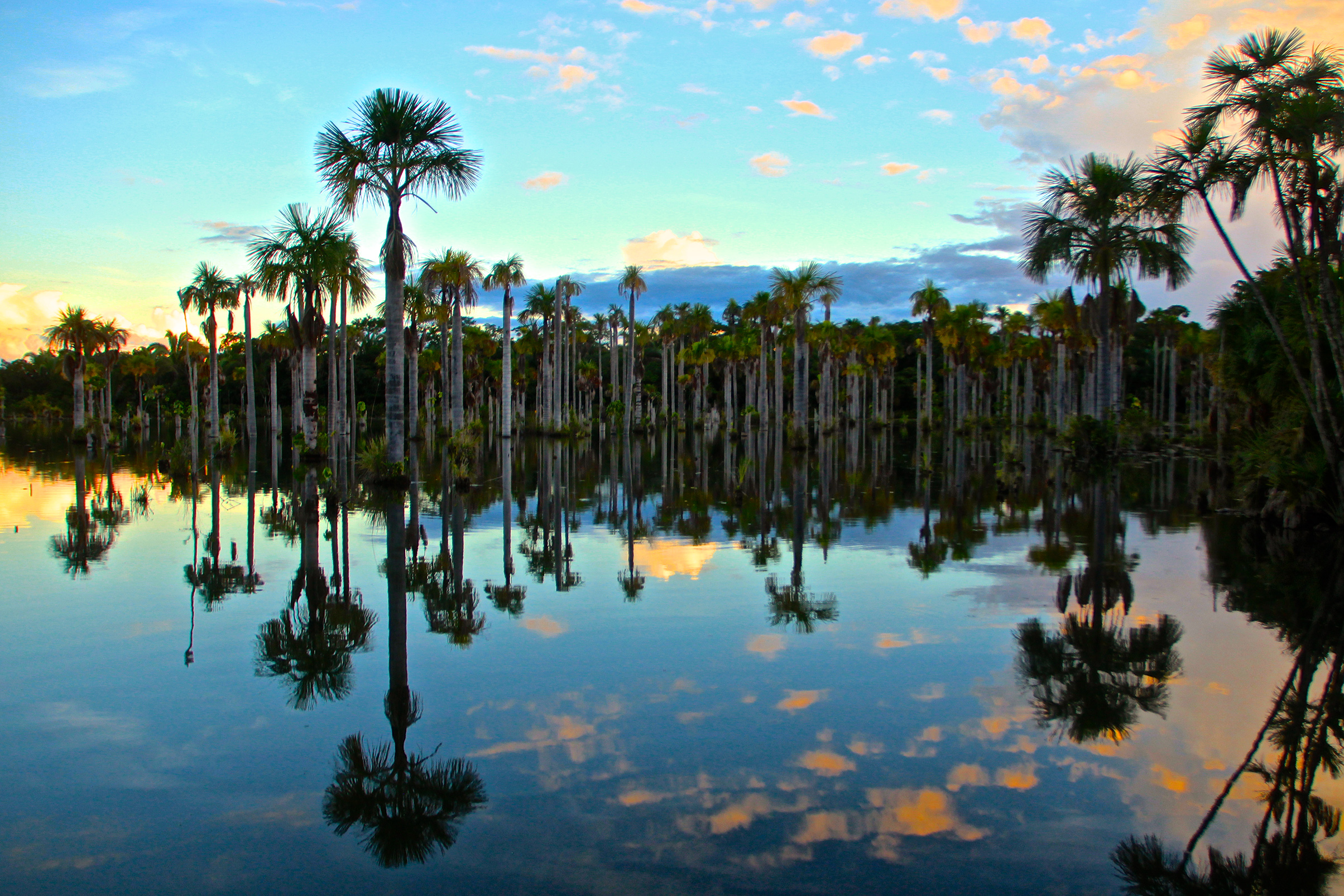 Lagoa das Araras