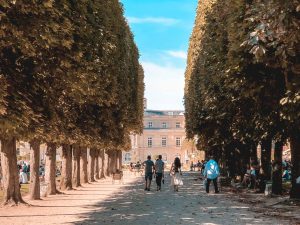 jardim du Luxembourg em Paris