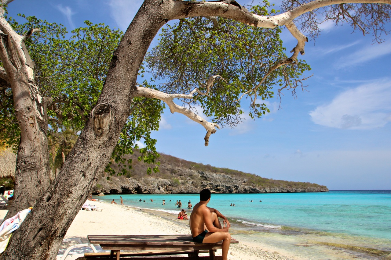 o que fazer em curaçao: conhecer das abou