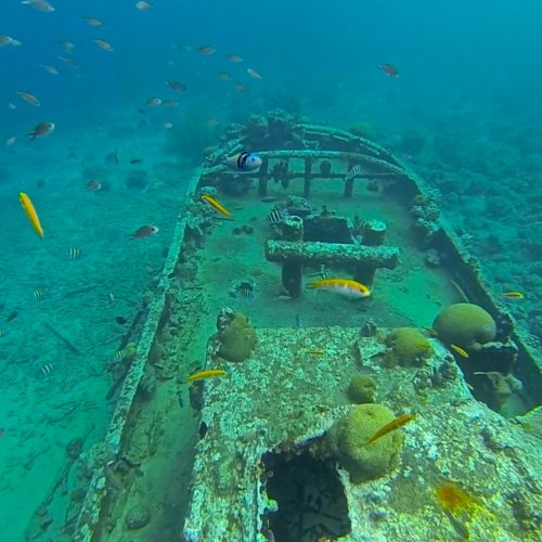 snorkel no tugboat em curaçao