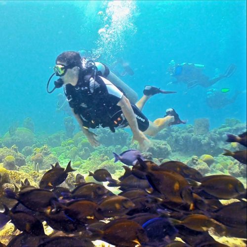 mergulho em curaçao