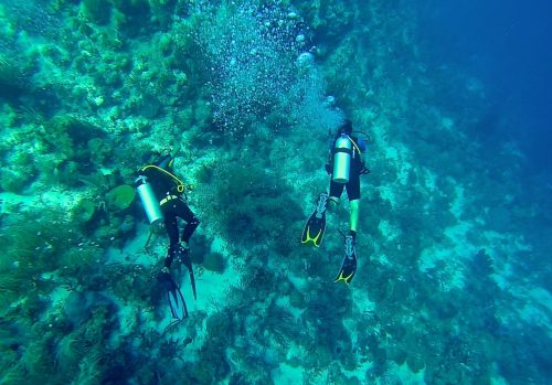 o que fazer em curaçao: mergulho