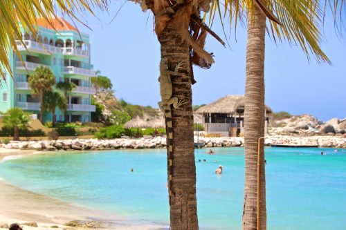 praia do Bluebay Curaçao