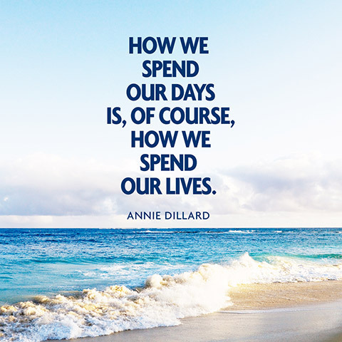 quotes-days-lives-annie-dillard-480x480