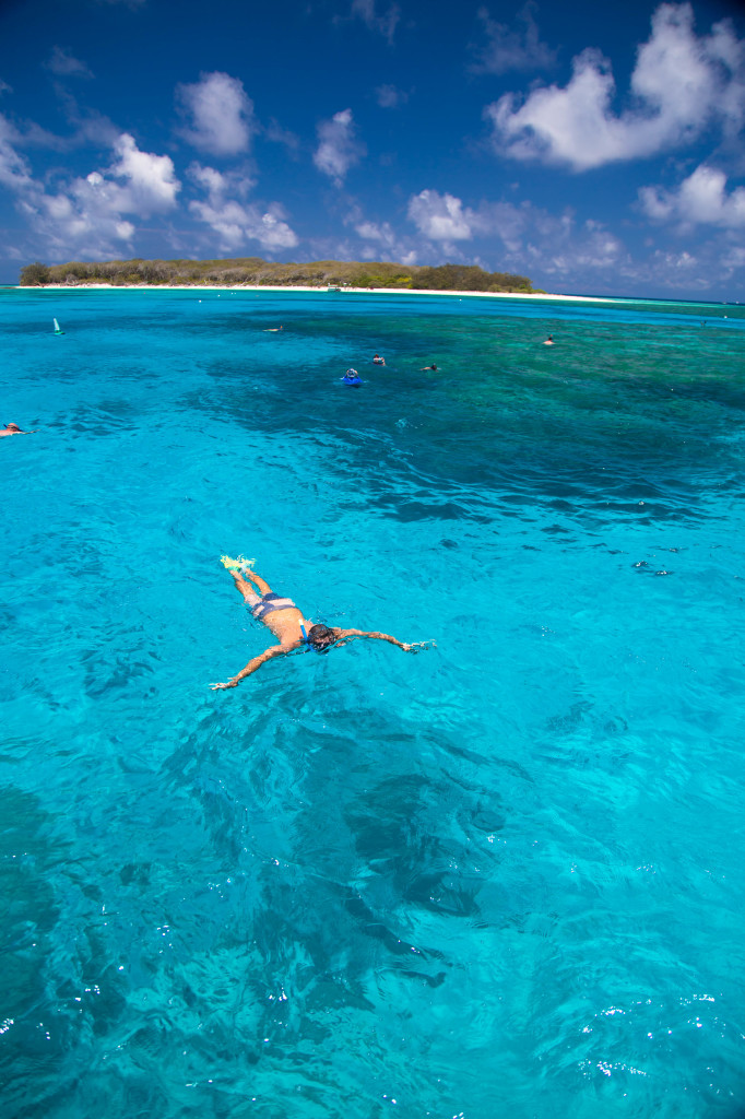 lady musgrave island