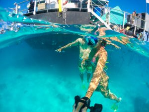 mergulho em Lady Musgrave island