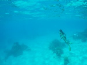 mergulho em Lady Musgrave island