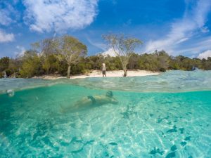 Fraser Island