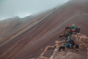 Vinicunca dia 04