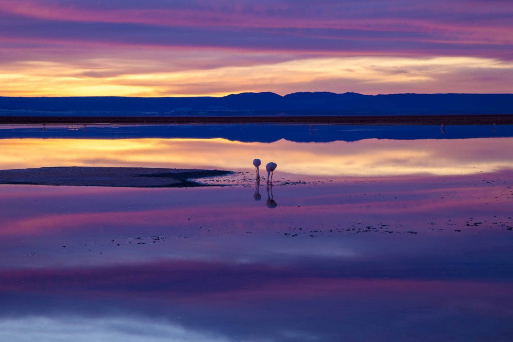 salar do atacama