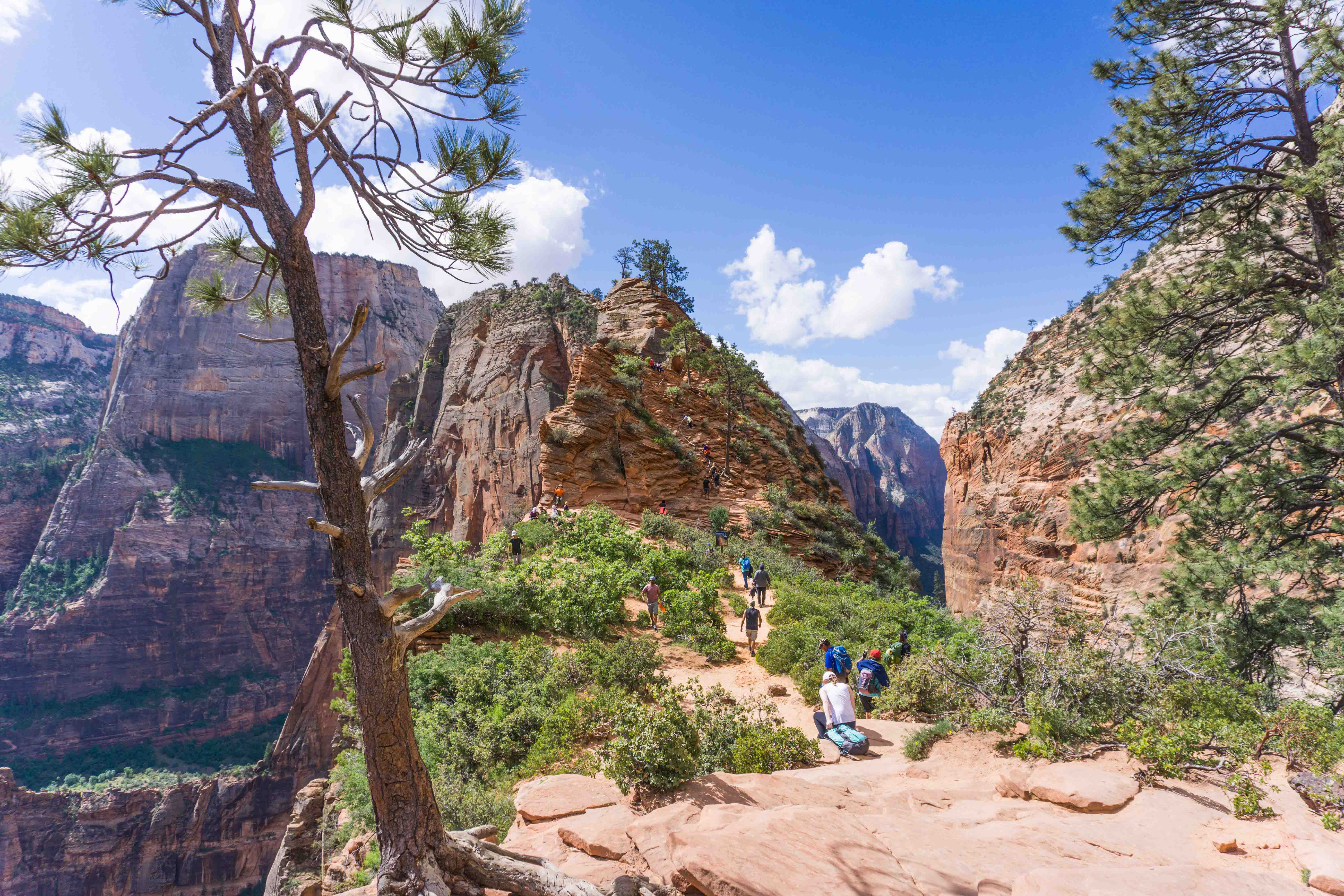 Scout Lookout antes da Angel's Landing