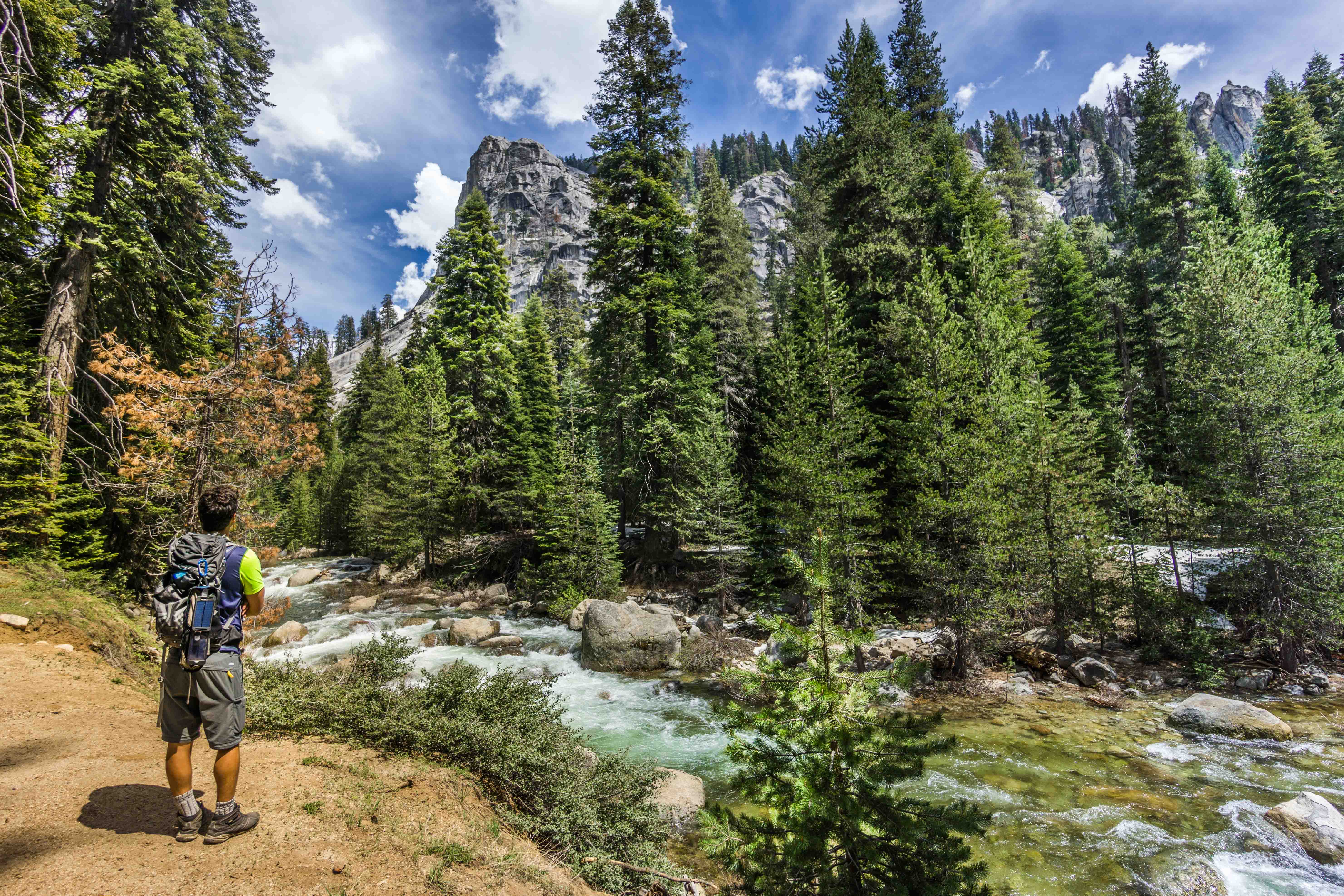 Tokopah Falls no Sequoia NP na California