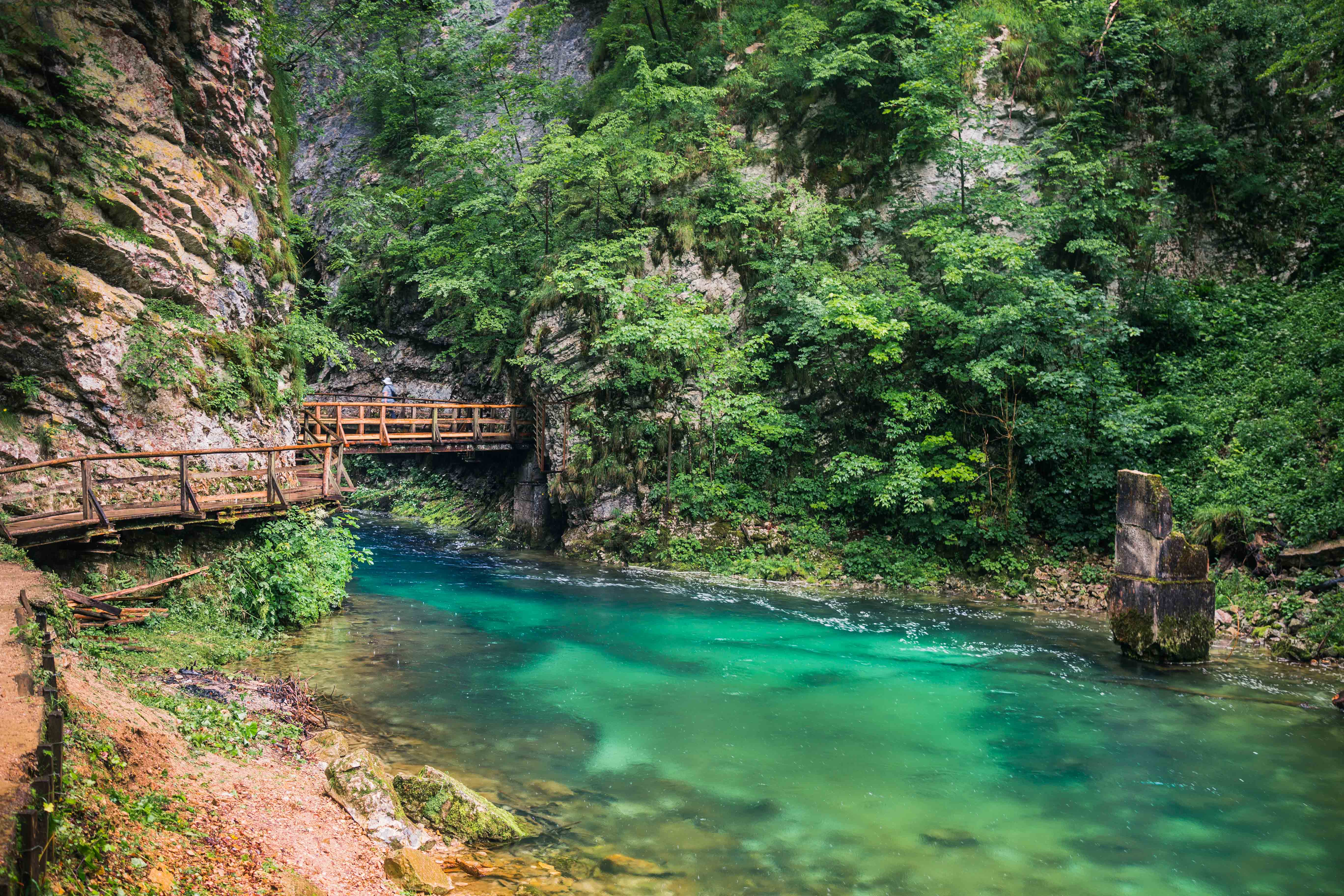 natureza em bled