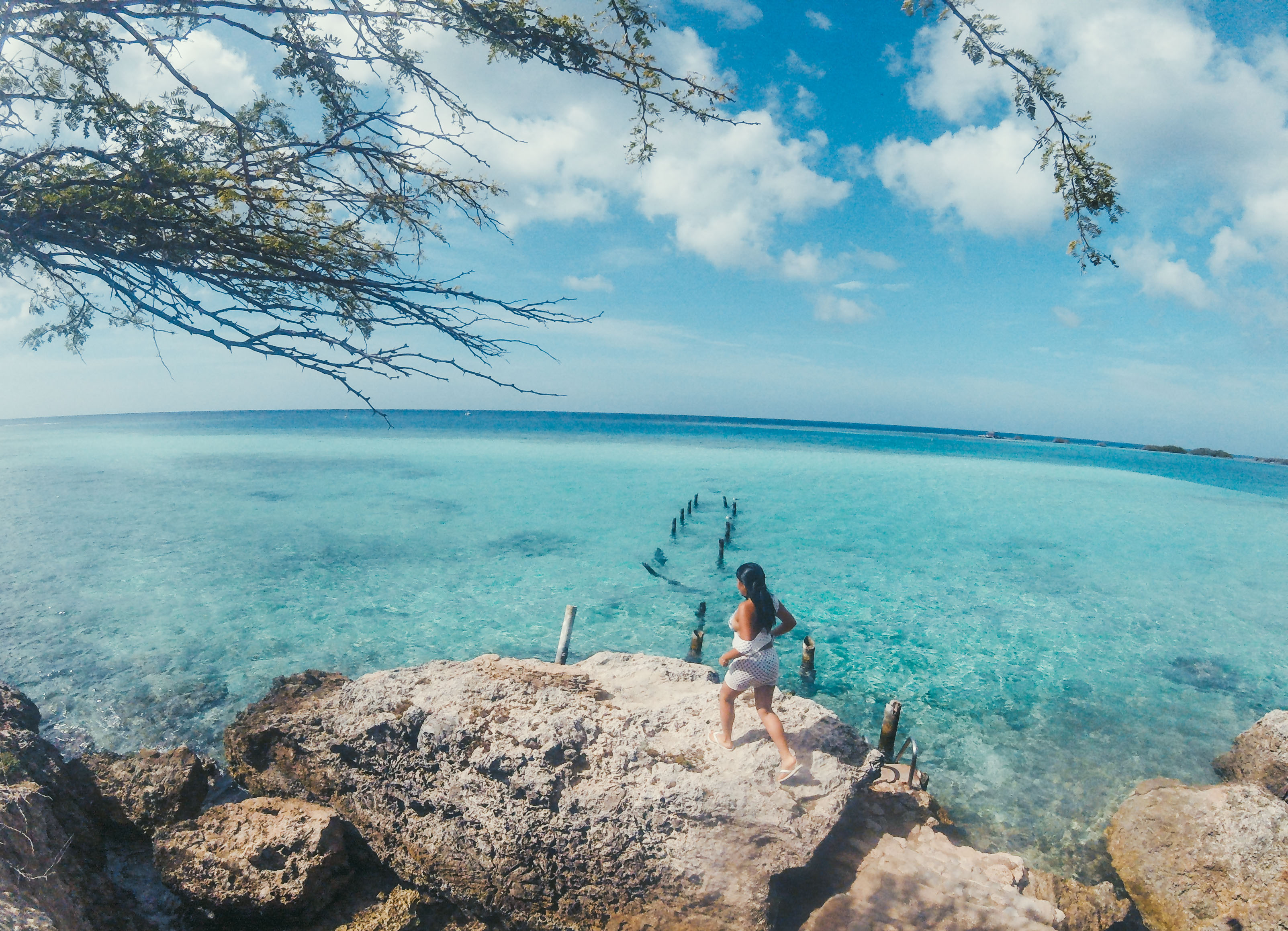 praia de mangel halto, visita em um dia em aruba