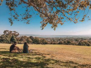 o que fazer em la jolla: passar o dia no kate sessions park