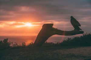 o que fazer em la Jolla: Sunset seats