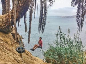 la jolla swings