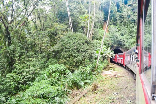 Onde ir em Curitiba - passeio em Morretes no Trem da Litorina