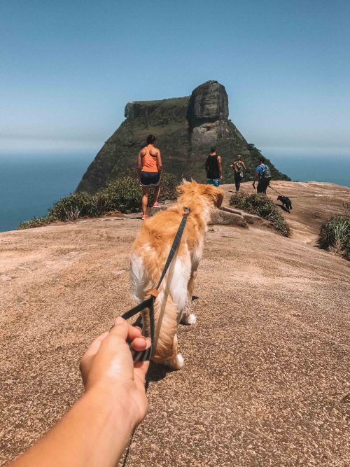 trilha pedra bonita rio de janeiro