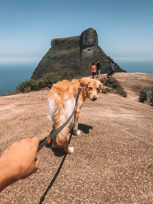 trilha pedra bonita rio de janeiro 2