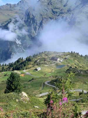 verbier