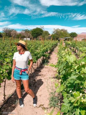 rota nos vinhos: dicas atacama