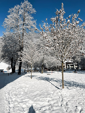 Duas Pessoas Caminhando Num Dia De Inverno Com Neve E Sol Cheio