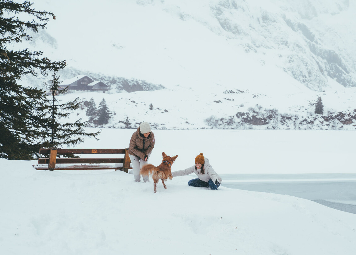 quel, marina e Miles na neve em Engelberg